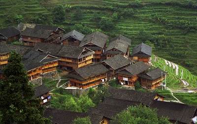 One Day Longji Dragon Backbone Rice Terraces Tour